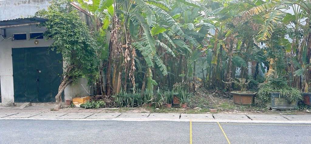 Đất nền phân lô Đông Anh 84.5m² giá thỏa thuận - Tiềm năng đầu tư cao!