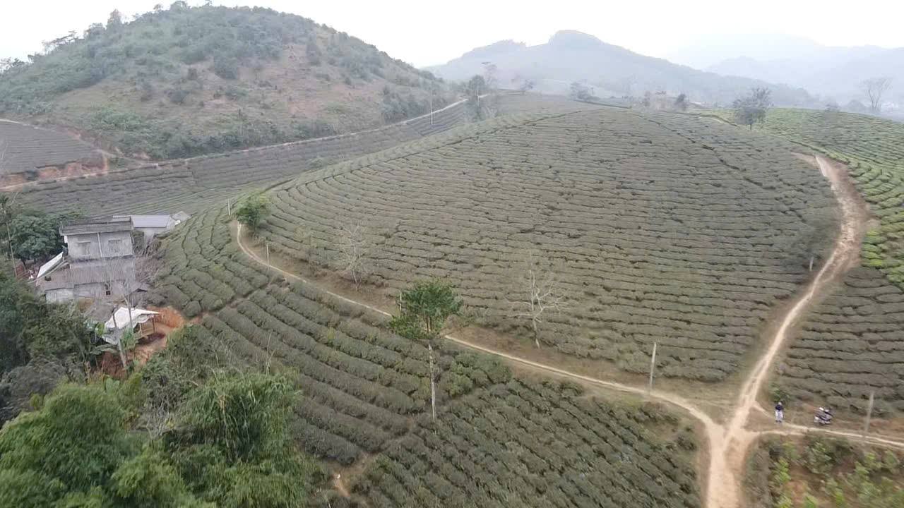 Lô đất Tân Sơn - Phú Thọ 1.600m² giá chỉ 800 triệu - Cơ hội đầu tư tuyệt vời!