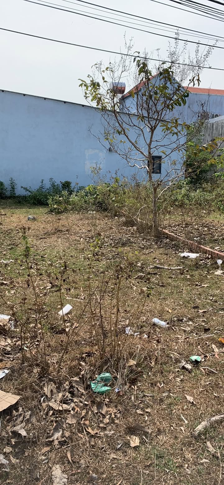 Mặt tiền Cây Thông Trong, Hoài Đức 89m² Thổ cư - Giá tốt đón Tết!