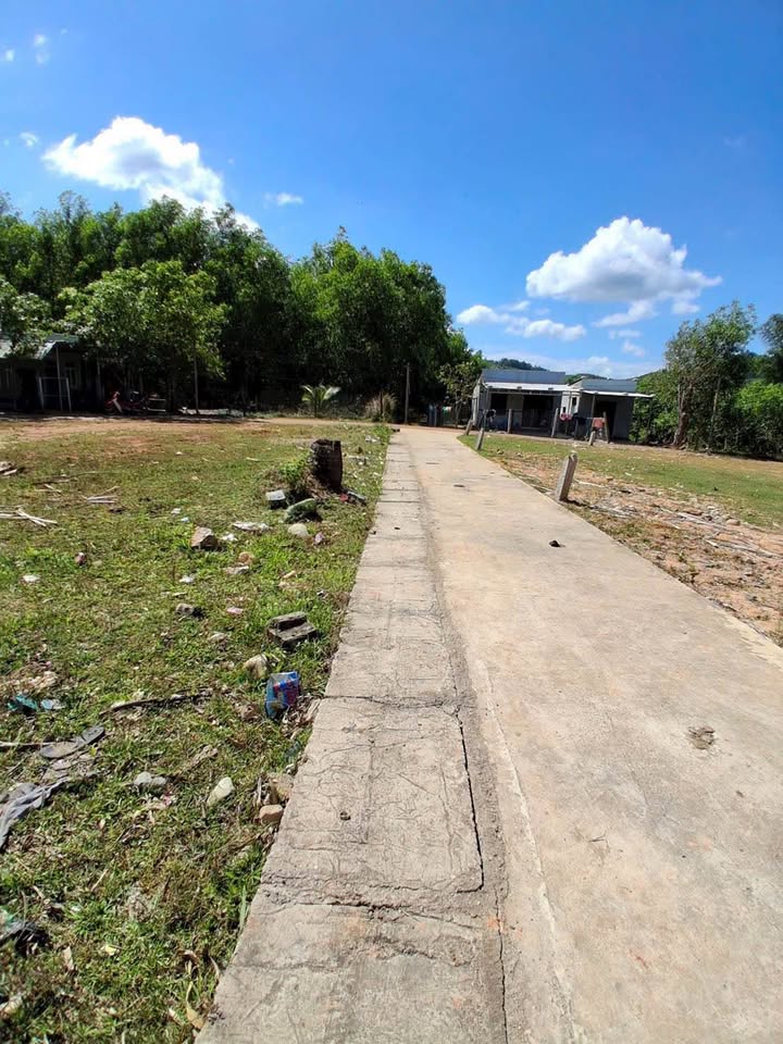 Đất nền Khánh Đông 101m² giá 159 triệu - Sổ đỏ chính chủ ngay!