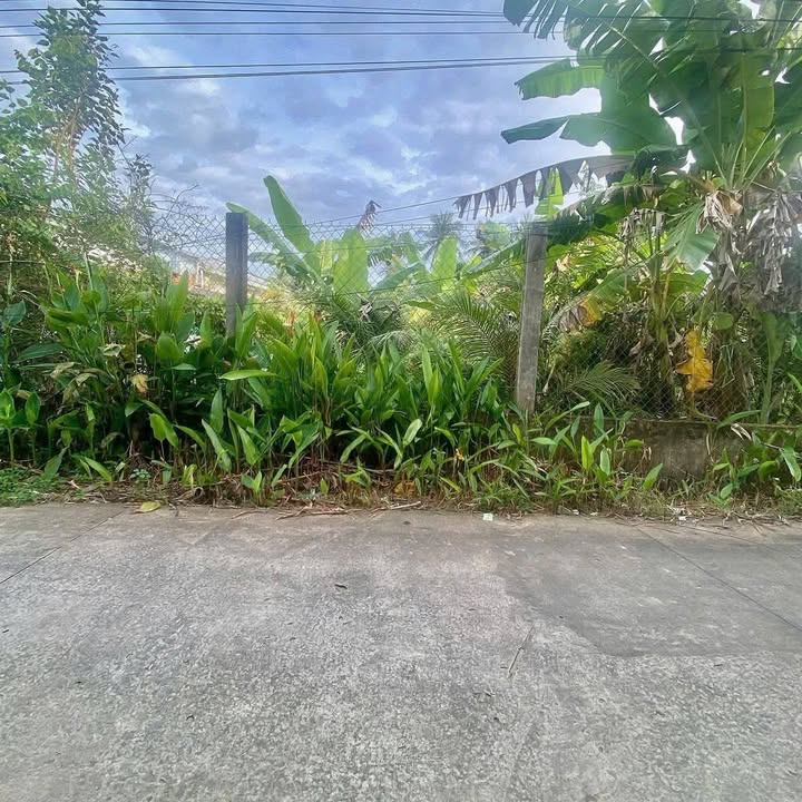 Đất nền Phú Nhuận Bến Tre 100m² giá 550 triệu - Đầu tư sinh lời ngay!