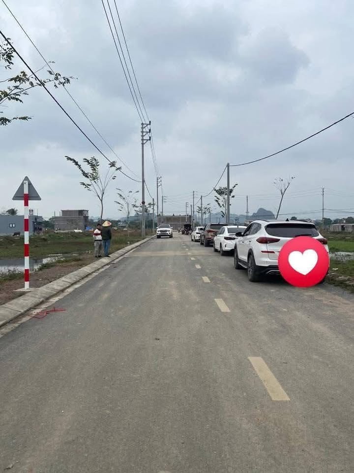 Đất nền Khu đấu giá Thạch Bình Nho Quan 120m² giá chỉ 10 triệu - Sở hữu ngay lô đất đẹp!