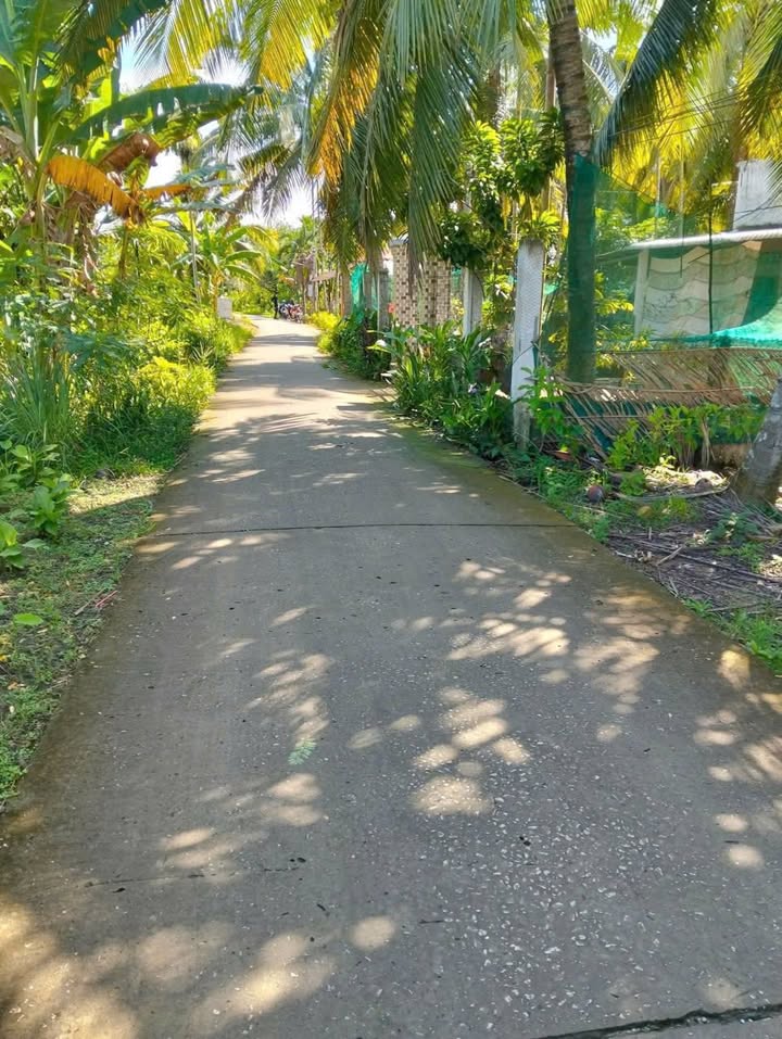 Đất nền thổ cư 100% tại Hậu Thạnh, Long Phú - Giá chỉ 270 triệu