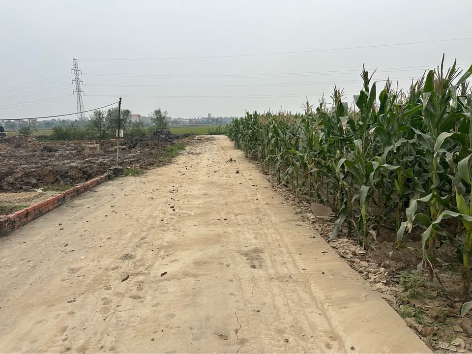 Đất nền đẹp tại xã Việt Thống, Quế Võ, Bắc Ninh 100m² giá 2 tỷ - Sổ đỏ chính chủ!