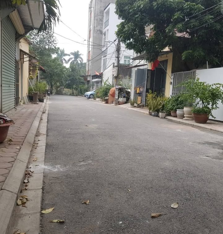 Nhà phân lô Cổ Bi, 120m² giá 17 tỷ - Dòng tiền ổn định!