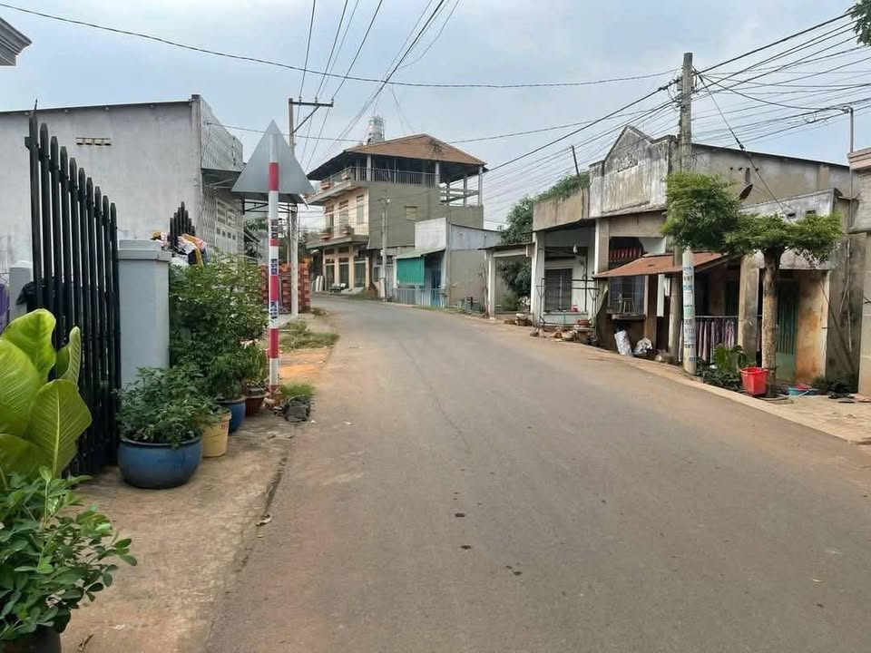 Bán Đất Vườn Đồng Nai 1672m² Sổ Riêng, Mặt Tiền Kinh Doanh