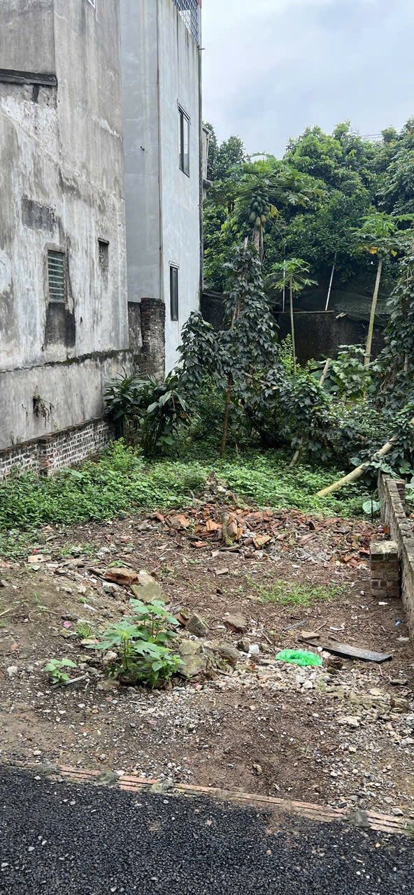 Đất nền chính chủ 76m² tại Mai Lâm, Đông Anh - Tiềm năng sinh lời cao!