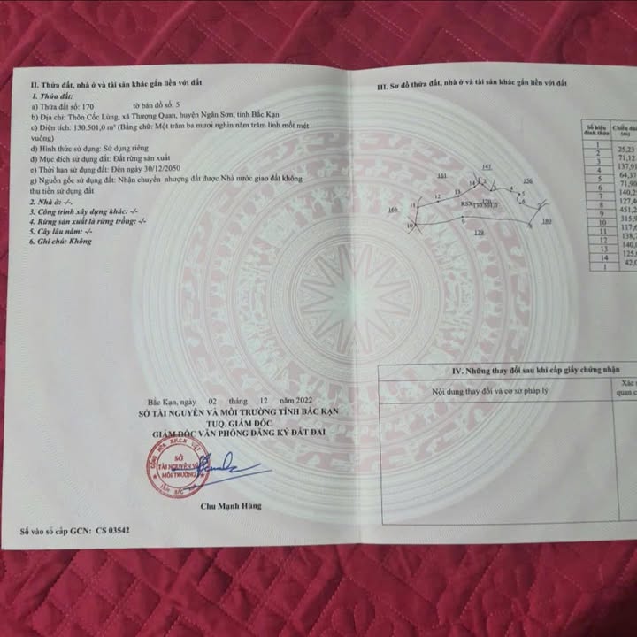 Đất rừng sản xuất 30ha tại Ngân Sơn, Bắc Kạn - Giá tốt cho người chốt nhanh!