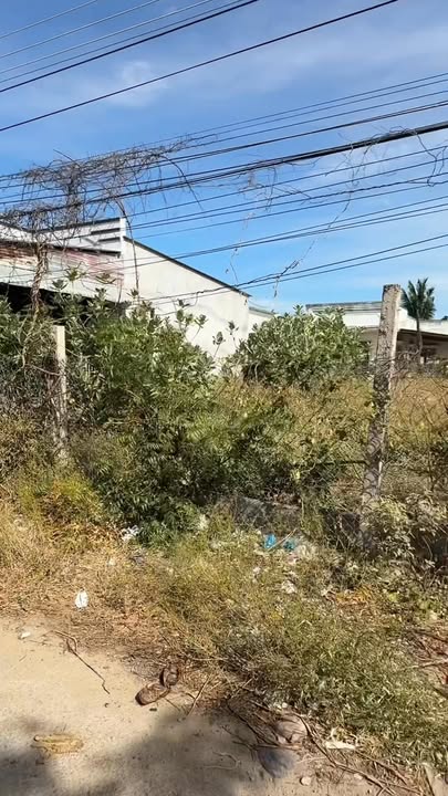 Bán Đất Nền 206m² Thổ Cư Phủ Hà, Phan Rang - Sổ Sẵn, Giá 1.2 Tỷ