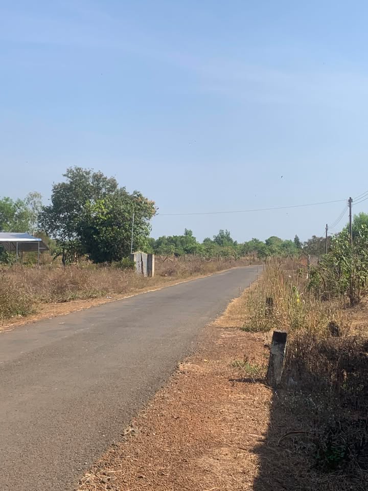 Đất nền Xã Tân Tiến, Huyện Bù Đốp, 4032m² giá 320 triệu - Cơ hội đầu tư ngay!