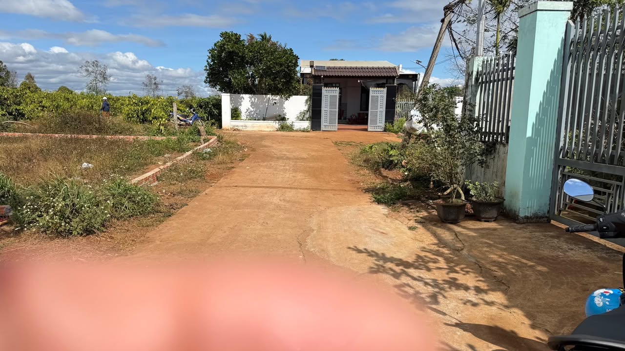 Đất thổ cư Huyện Chư Sê 231m² giá 1.15 tỷ - Đường bê tông rộng rãi