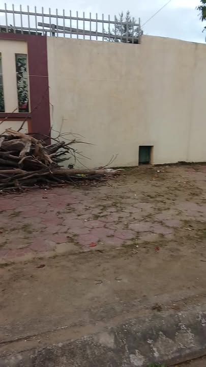 Đất nền Cường Thịnh Sầm Sơn 58m² giá 900 triệu - Cơ hội đầu tư tuyệt vời!