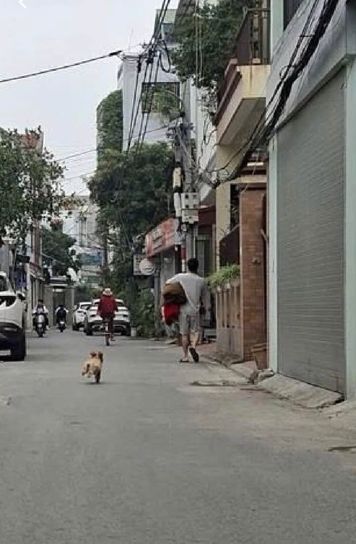 FrontHouse Ngô Gia Tự Việt Hưng 49m² giá 7.92 tỷ - Đầu tư hấp dẫn, vị trí trung tâm!