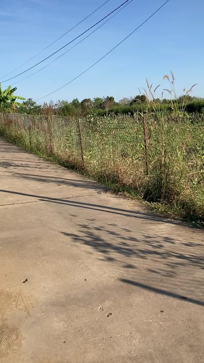 Đất Farm Ấp 3, Gia Canh, Định Quán 2016m² giá 3.7 tỷ - Chính chủ bán gấp!