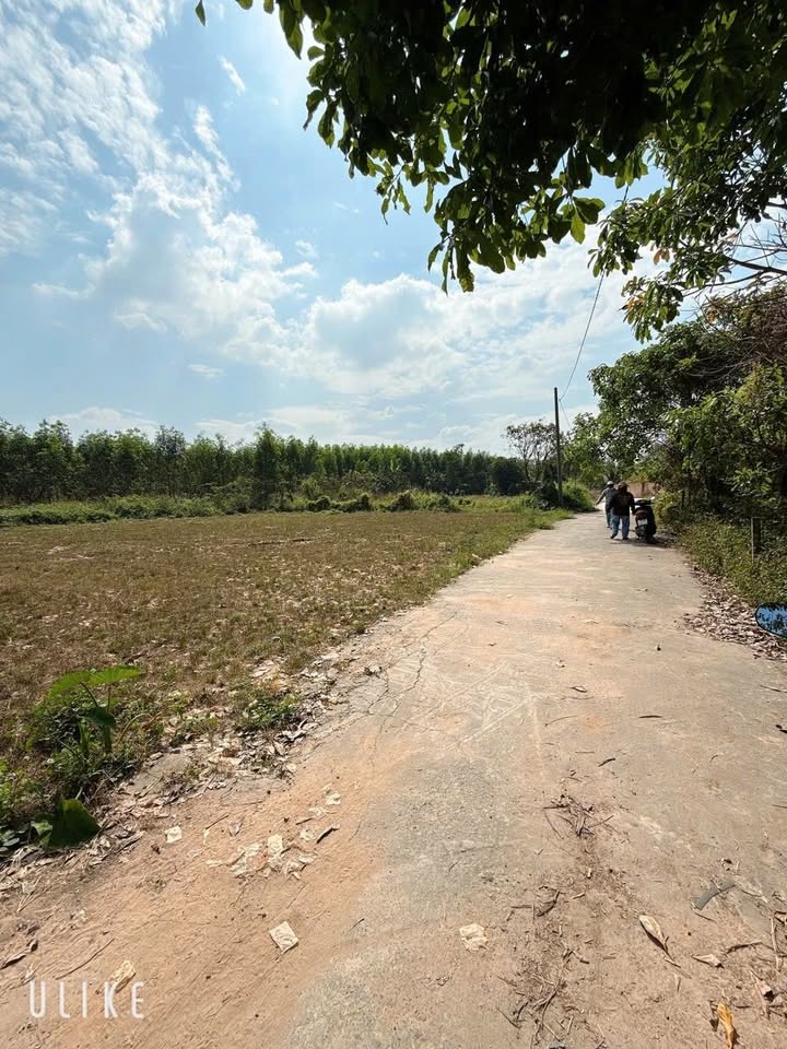 Đất thổ cư Giang Điền 105m² giá 719 triệu - Đầu tư sinh lời ngay!