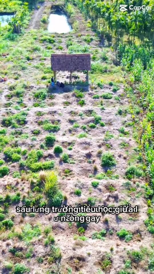 Đất thổ cư 3.340,8m² tại xã Ea Drong, Buôn Hồ - Giá chỉ 1,39 tỷ!