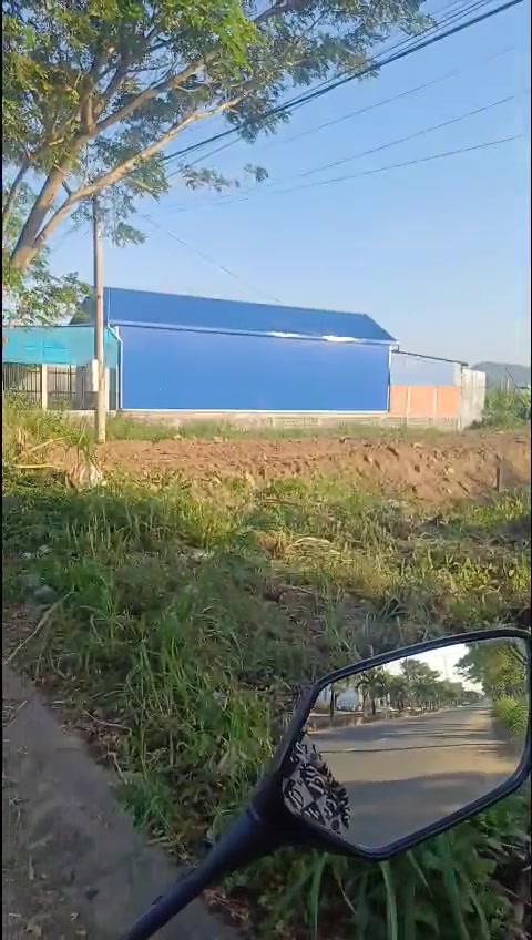 Đất farm đường Suối Bạc 3, Huyện Sơn Hòa, 10.000m² - Cơ hội đầu tư tuyệt vời!