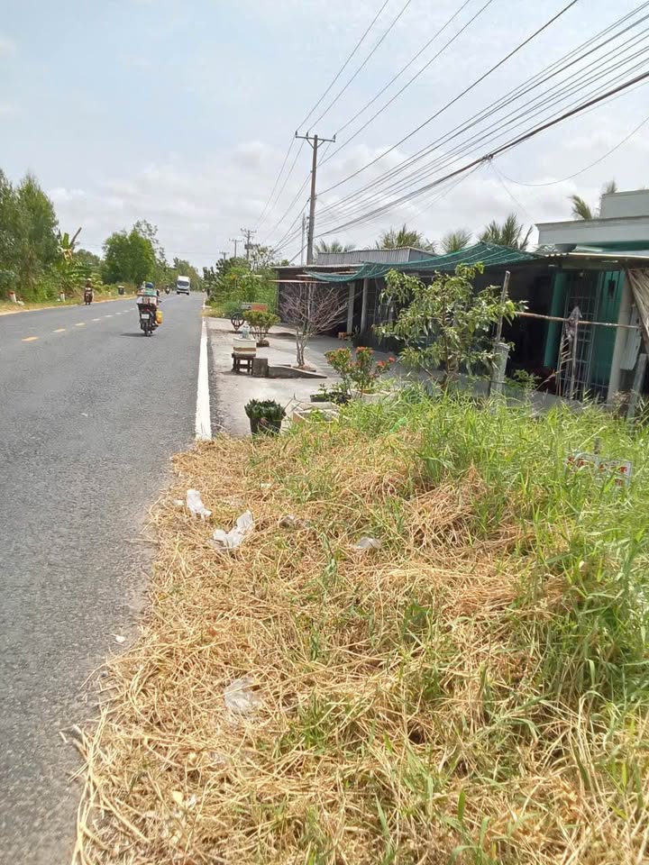 Đất nền gần Trường THCS Thành Vọng, Đầm Dơi, Cà Mau 243m² - Đầu tư lý tưởng!