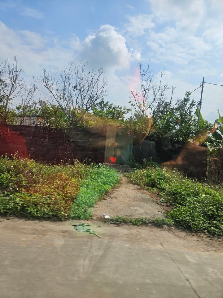 Đất nền 320m² tại Đường Trục Chính Yên Mỹ, Thanh Trì, 1 tỷ - Đầu tư sinh lời ngay!