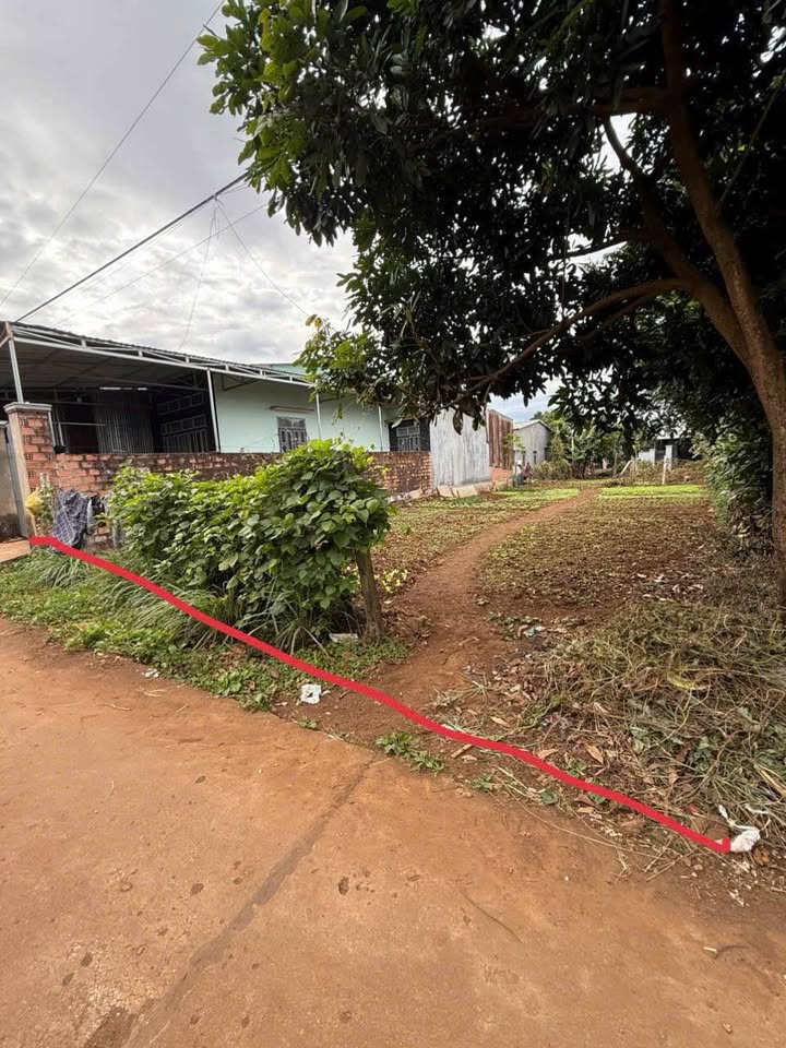 Đất nền An Phú, Pleiku 100m² giá 600 triệu - Đầu tư sinh lời ngay!