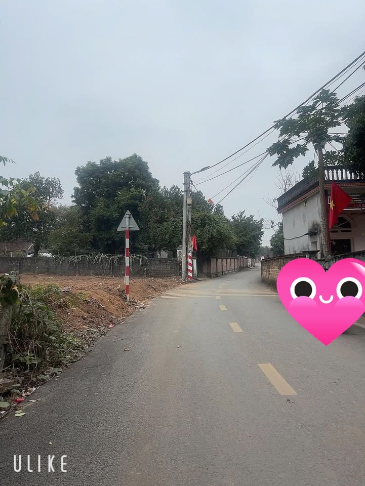 Đất thổ cư 127m² phường Tùng Thiện - Giá đầu tư chỉ 1.8 tỷ!