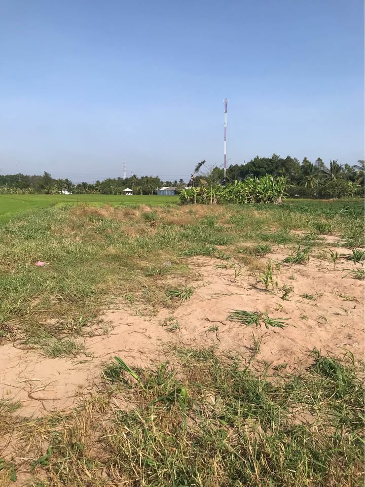 Đất nền mặt tiền đường 909B, xã Phước Hậu, Vĩnh Long 595m² - Cơ hội đầu tư tuyệt vời!