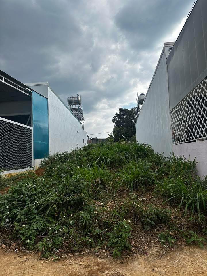 Đất nền thị trấn Di Linh 120m² giá chỉ 899 triệu - Cơ hội đầu tư tuyệt vời!