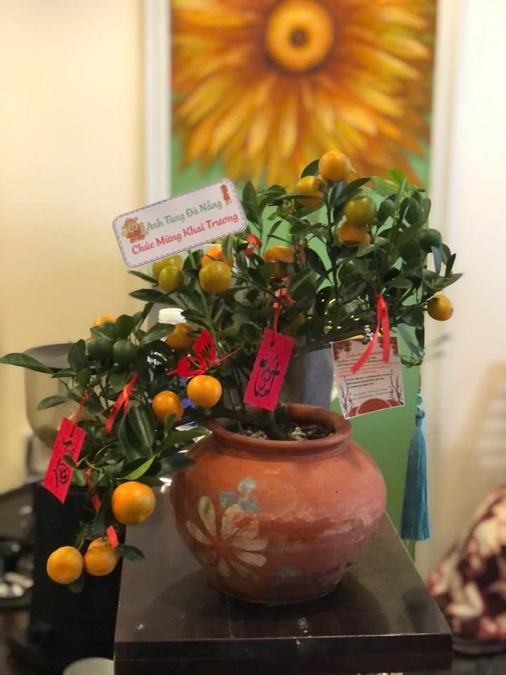 Bán Đất Vàng Lý Thánh Tông Sơn Trà 250m² - Giá Đầu Tư 3x Tỷ