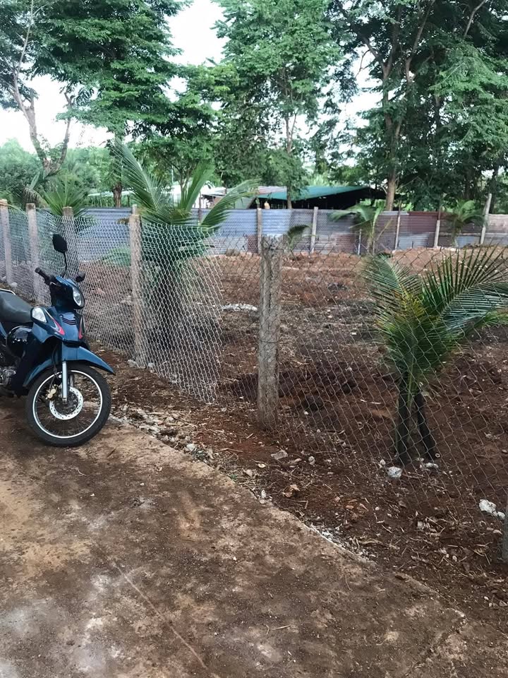 Đất thổ cư 60m² tại Thôn 1, Ea Kao, BMT giá 1.2 tỷ - Cơ hội đầu tư sinh lời!