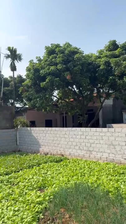 Đất thổ cư 102m² tại Thị trấn Xuân Mai, Chương Mỹ - Giá 2 tỷ, sổ đỏ chính chủ!