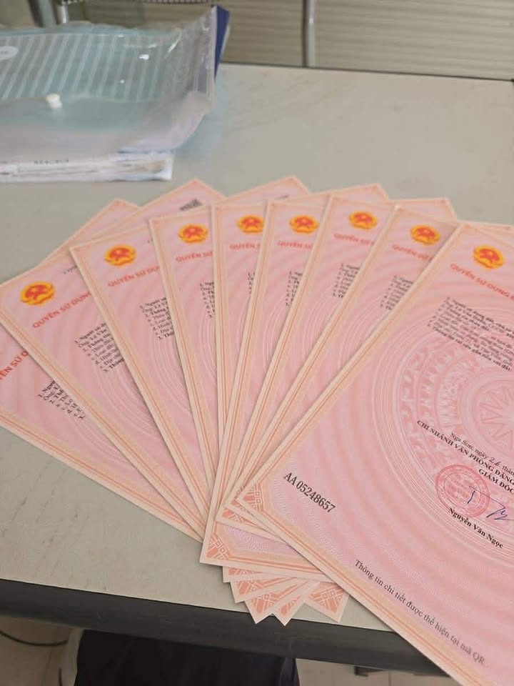 Đất nền chính chủ tại xã Nga Tân, huyện Nga Sơn - 250m² giá thỏa thuận - Đầu tư sinh lời!