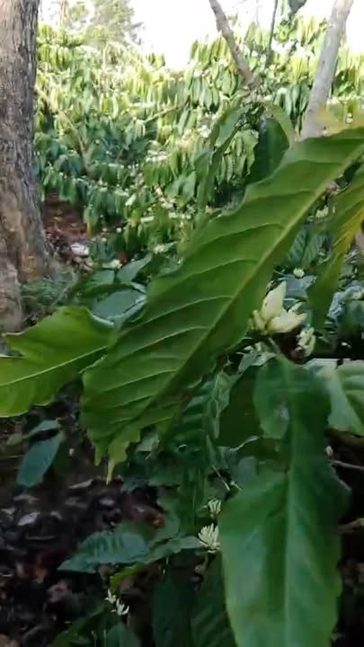 Đất nông nghiệp tại thôn Nam Trung, Xã Nam Đà, 19800m² giá 1.9 tỷ - Cơ hội đầu tư hấp dẫn!