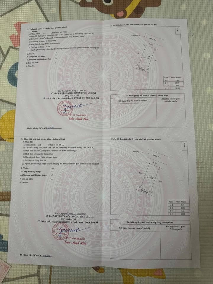 Đất tái định cư Trì Quang - Bảo Thắng 160m² giá chỉ 300 triệu - Cơ hội đầu tư hiếm có!