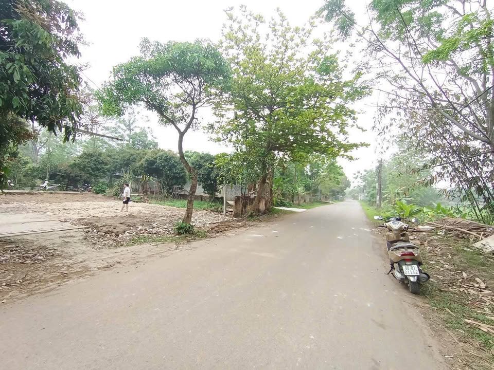 Đất nền Hướng Đạo Tam Dương 100m² giá 2 tỷ - Đầu tư sinh lời ngay!