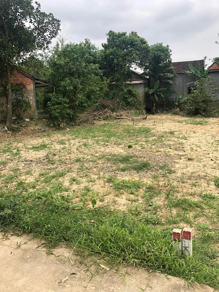 Đất nền Hải Lăng - Quảng Trị 126m² giá chỉ 200 triệu - Đầu tư sinh lời ngay!