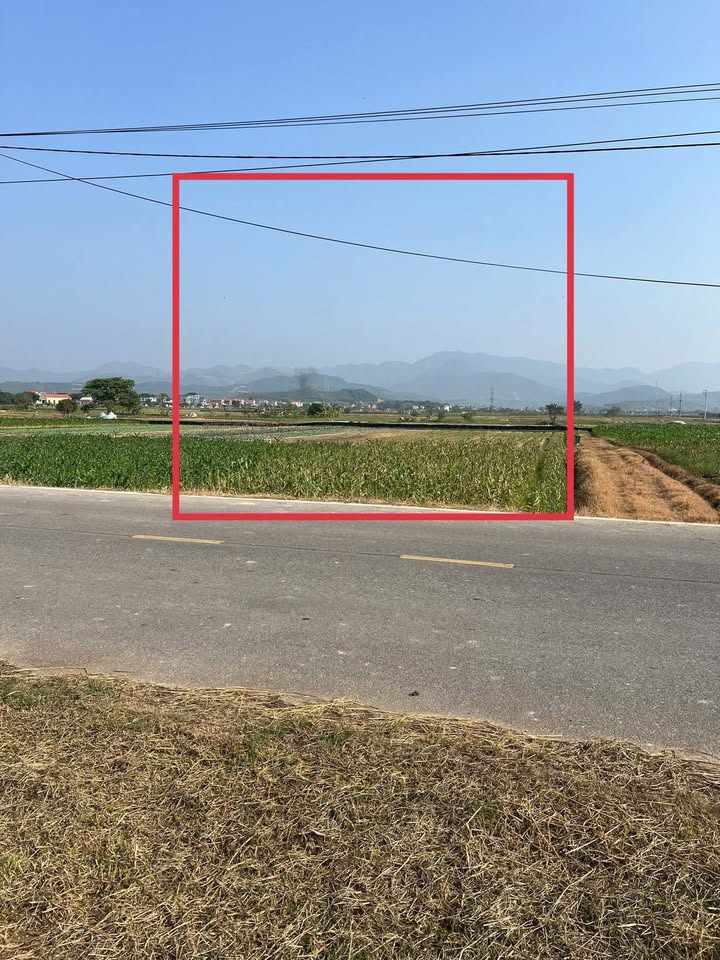 Đất nền đối diện Công ty Rau Sạch Tràng An 310m² giá 100 triệu - Cơ hội đầu tư tuyệt vời!