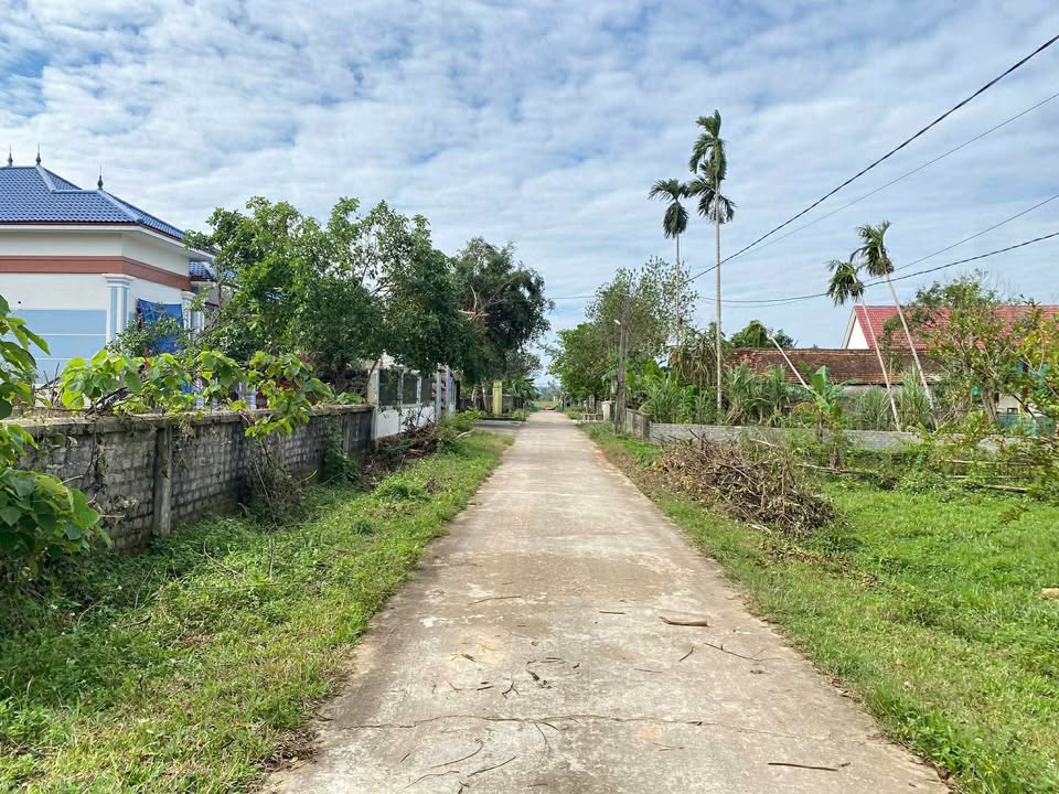 Đất nền lô góc 2 mặt đường tại xã Tân Thành, Nghệ An 264m² giá chỉ 1 tỷ - Cơ hội đầu tư hấp dẫn!