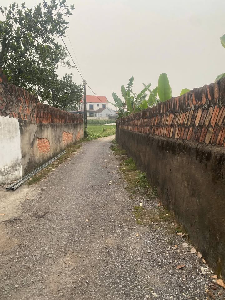 Đất nền Phường Trung Thành, Thái Nguyên 100m² giá 700 triệu - Cơ hội đầu tư tuyệt vời!