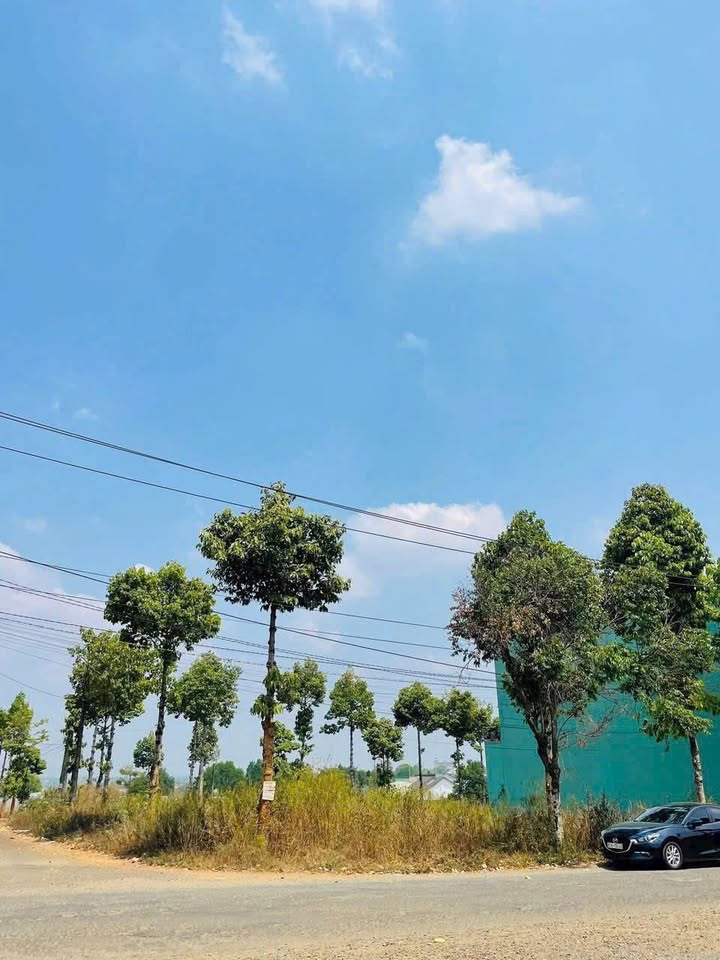 Bán Đất Lô Góc Pleiku 166.5m² - Ngay BV Tỉnh, Sân Golf CK54 - Giá Tốt