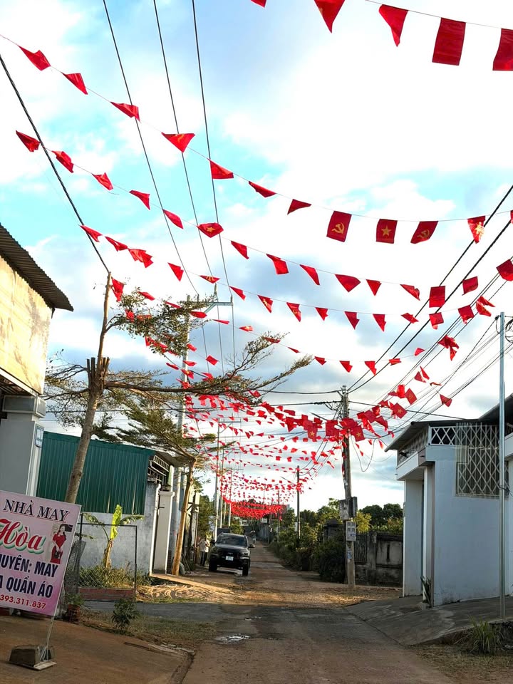 Đất nền Trần Văn Ơn, Quận Tân Phú, 146m² giá 495 triệu - Cơ hội đầu tư tuyệt vời!