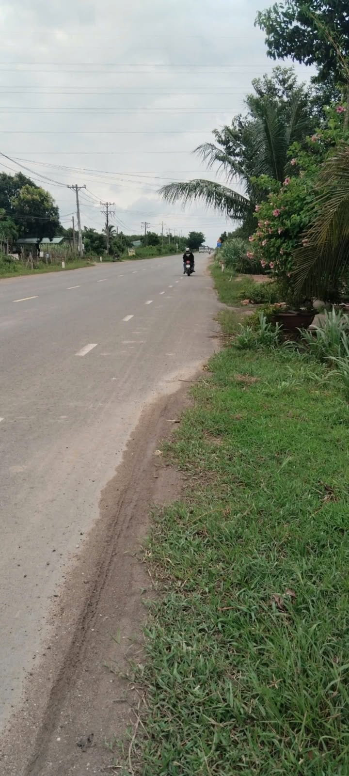 Đất mặt tiền đường 793, xã Thạnh Tây, 620m² giá 6.2 tỷ - Cơ hội đầu tư tuyệt vời!