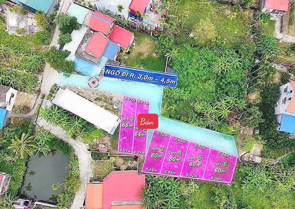 Đất nền Lâm Động - 64.2m² giá 1.2 tỷ - Đầu tư sinh lời ngay!