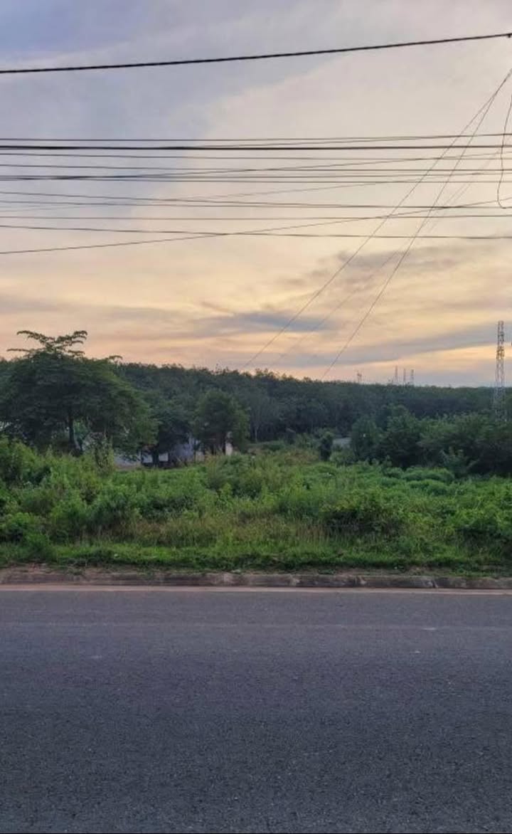 Đất mặt tiền đường Tôn Đức Thắng, Phường Ngô Mây, 330m² - Cơ hội đầu tư tuyệt vời!