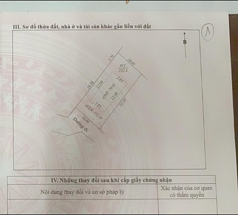 Đất nền Thị trấn Thắng, 222m² giá 1.1 tỷ - Cơ hội đầu tư hấp dẫn!