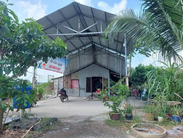 Nhà Vườn Cho Thuê Tại Xã Trung An, Củ Chi, 10.000m² - Phù Hợp Làm Cafe Vườn