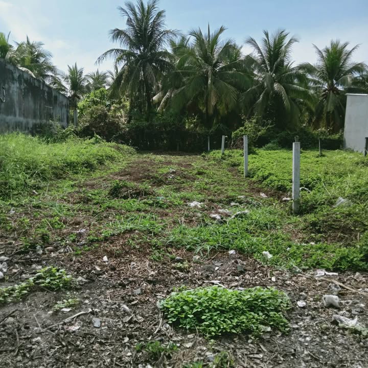 Đất nền KP Bình Phong, Mỹ Tho 130m² giá 850 triệu - Sổ đỏ chính chủ, đầu tư sinh lời!