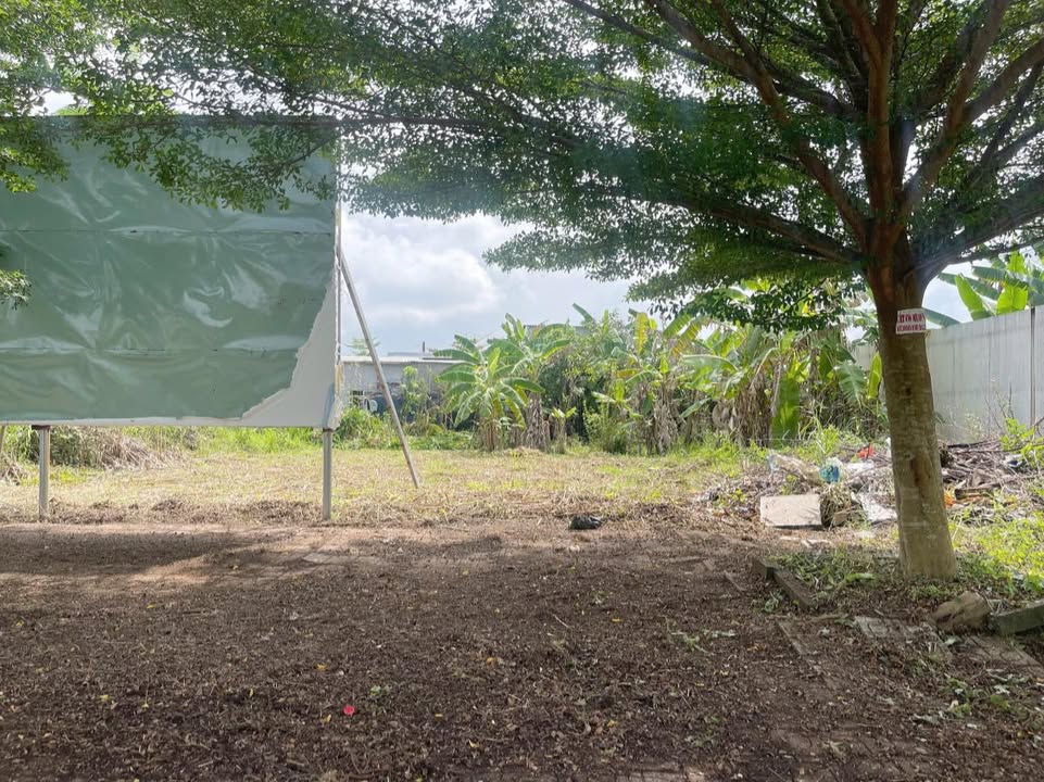 Đất nền KĐT Hoàng Tâm, Bạc Liêu - 130m² Thổ cư, Giá tốt 9.5 triệu/m²