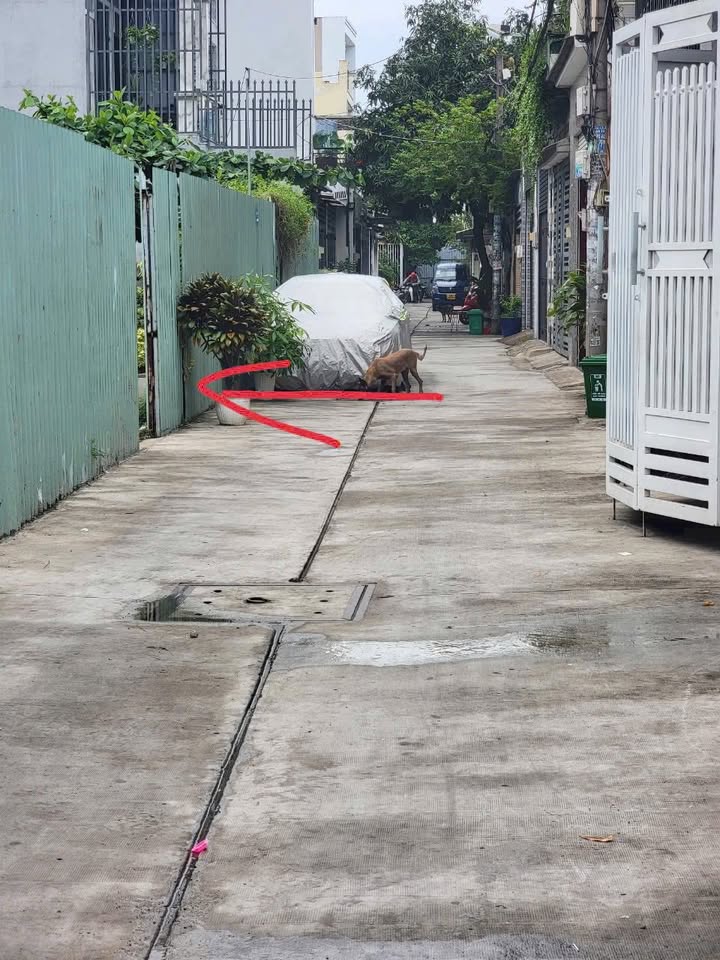 Đất nền hẻm 46 Đường số 18, Bình Tân 92m² giá 6 tỷ - Chính chủ bán gấp!