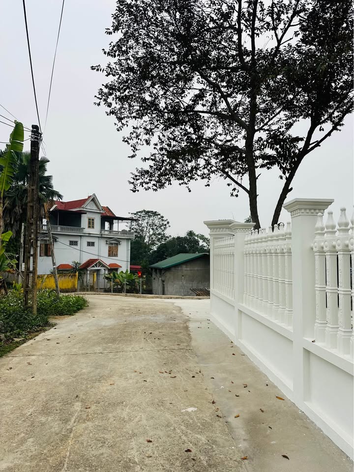 Đất nền góc 2 mặt tiền tại Tổ 3 Ỷ La, 124m² chỉ 1 tỷ - Cơ hội đầu tư hiếm có!