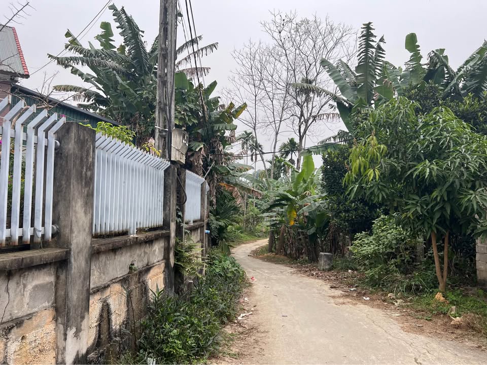 Đất thổ cư 400m² mặt tiền 26m gần Uỷ ban xã Mỹ Bằng giá 1 tỷ